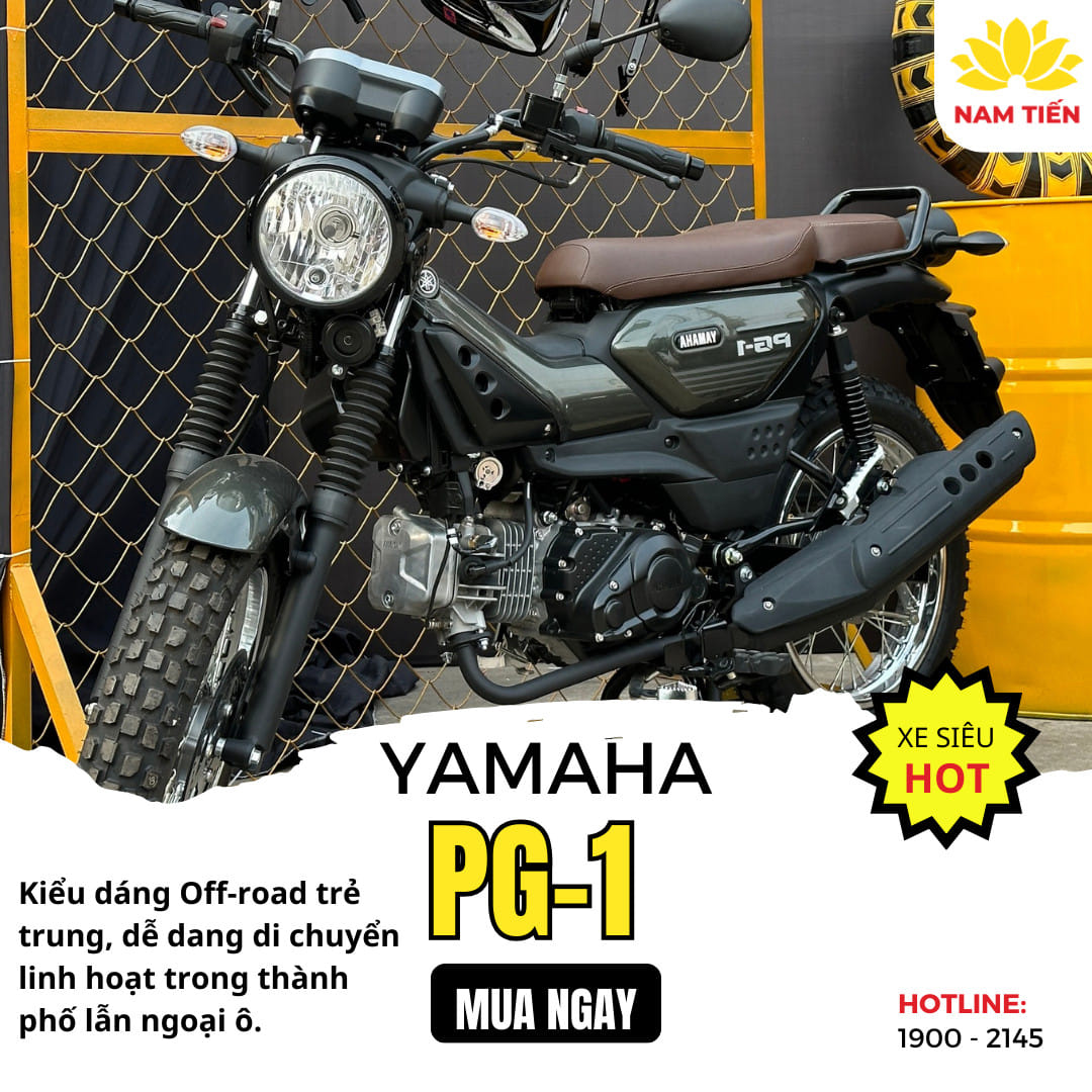 Lãi suất trả góp yamaha pg-1 