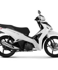 2024-cao-cap-trang