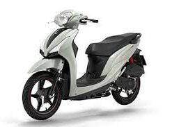 Xe máy 50cc
