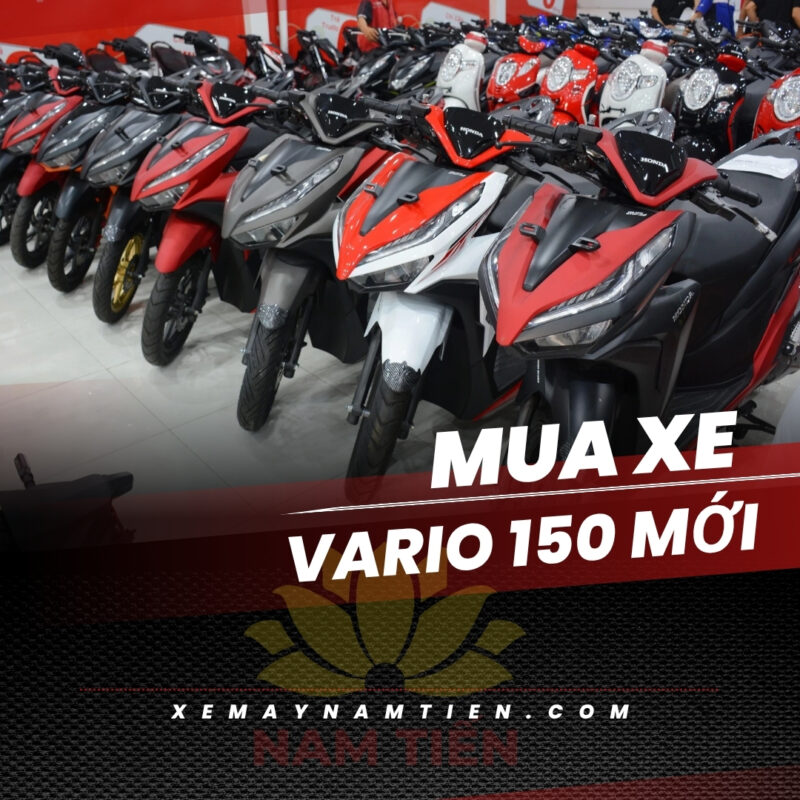 Mua Vario 150 mới ở đâu giá rẻ bền?
